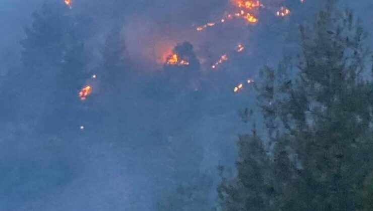 Kayseri’nin Yahyalı ilçesindeki orman yangını kontrol altına alındı