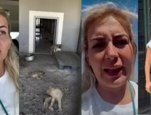 Köpekçi Buket ile ilgili olay iddialar! Kasiyerlikten patronluğa…