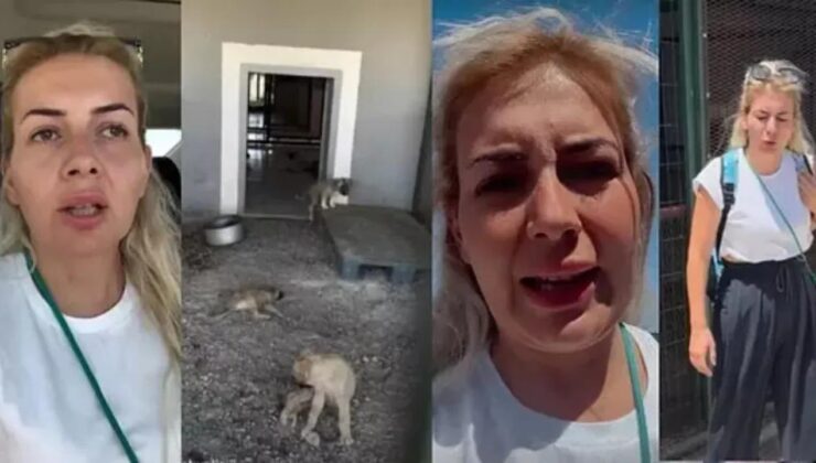 Köpekçi Buket ile ilgili olay iddialar! Kasiyerlikten patronluğa…