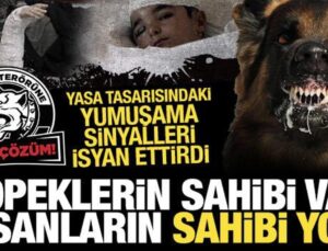 Köpeklerin sahibi var, insanların yok: Yasa tasarısında yumuşama sinyalleri isyan ettirdi!