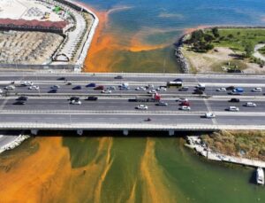 Marmara Denizi’nde ‘Red-tide’ görüldü!