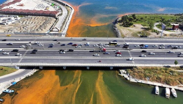 Marmara Denizi’nde ‘Red-tide’ görüldü!