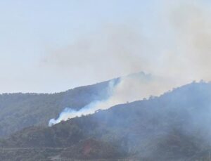 Marmaris’te orman yangını! Kontrol altına alındı