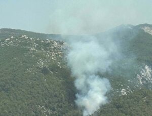 Muğla’da orman yangını