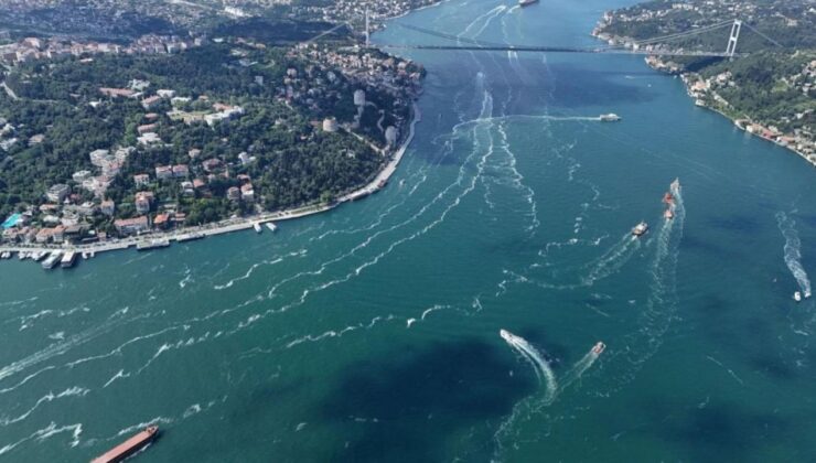 Müsilaj için ‘ayı’ benzetmesi! Uzmanlar uyardı: Denize sakın girmeyin!