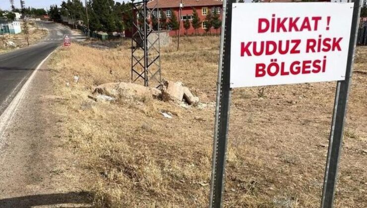 Şanlıurfa’da 2 mahalle, ‘kuduz’ nedeniyle karantinaya alındı