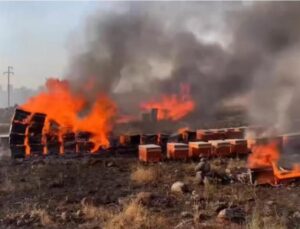 Şanlıurfa’da yangın: Yüzlerce arı kovanı kül oldu