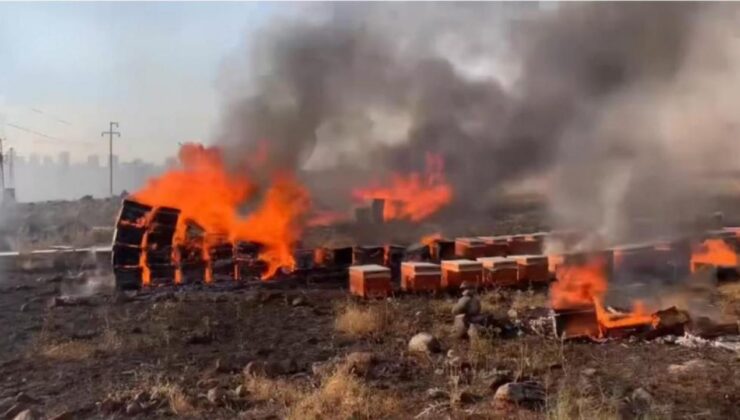 Şanlıurfa’da yangın: Yüzlerce arı kovanı kül oldu