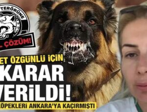 Şanlıurfa’dan Ankara’ya kuduz köpekleri getiren bir kişi tutuklandı