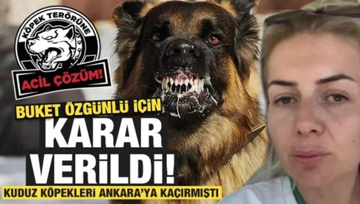 Şanlıurfa’dan Ankara’ya kuduz köpekleri getiren bir kişi tutuklandı