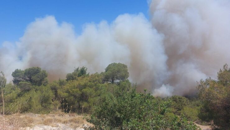 Soma’daki orman yangını ile ilgili kritik gelişme