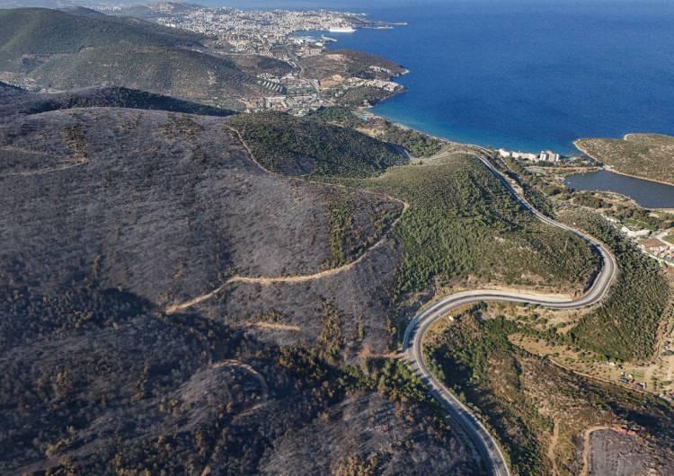 <p>Dron ile çekilen görüntülerde, Selçuk-Kuşadası yolu çevresinde zarar gören ormanlık alan ve ekiplerin devam eden çalışmaları yer aldı.</p><p> </p>