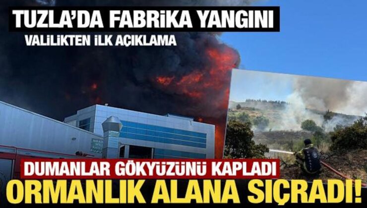 Son Dakika… Tuzla’da fabrika yangını: Bitişikteki fabrikaya ve ormanlık alana sıçradı!