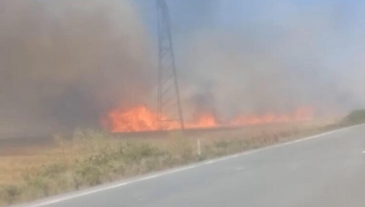 Tekirdağ’da 180 dönüm ekili buğday yandı; 3 kişi dumandan etkilendi