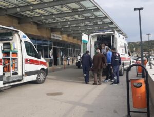 Tunceli’den acı haber geldi: Katil bozayı!