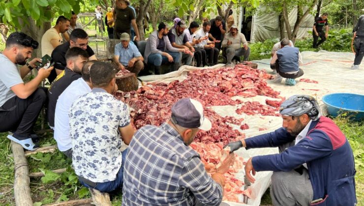 Yüksekova’da kurban etleri toplanıp, herkese eşit dağıtılıyor