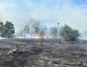 25 dönümlük tarım arazisi yangında zarar gördü