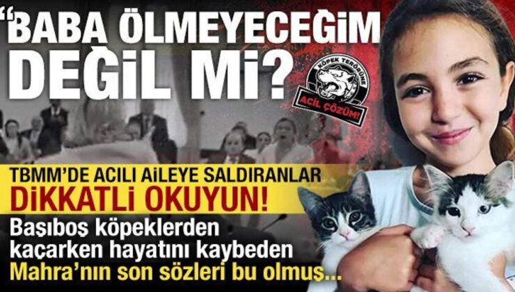 Acılı baba, başıboş köpeklerden kaçarken hayatını kaybeden kızının son sözlerini söyledi