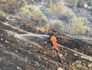 Aydın’da ağaçlık alanda çıkan yangın kontrol altına alındı