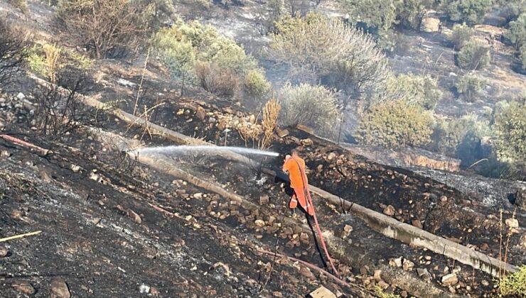 Aydın’da ağaçlık alanda çıkan yangın kontrol altına alındı