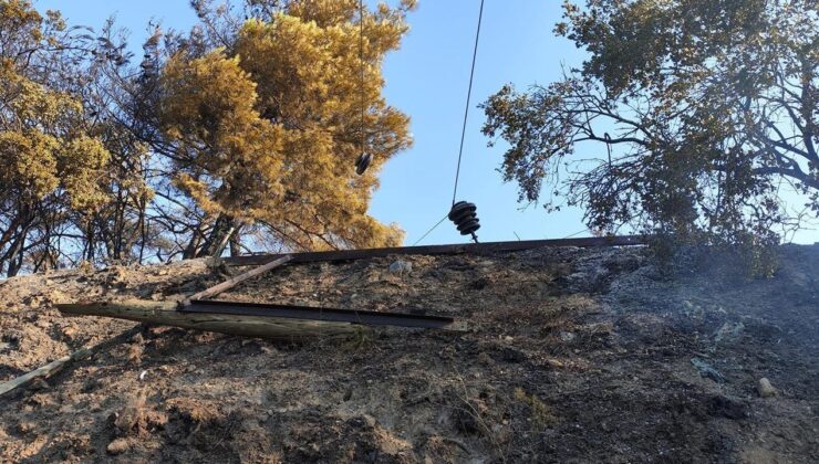 Aydın’da ormanlık ve zeytinlik alandaki yangın kontrol altına alındı