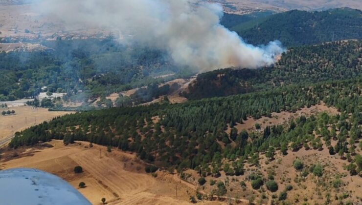 Balıkesir’de orman yangını: Havadan ve karadan müdahale ediliyor