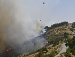 Balıkesir’de orman yangını: Müdahale devam ediyor