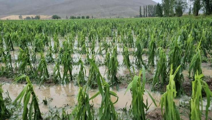 Bayburt’ta dolu ve sağanak: Tarım arazileri zarar gördü