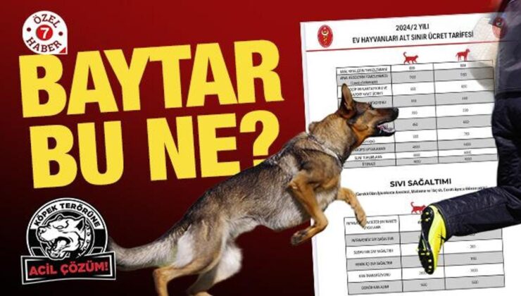 Baytar bu ne? ‘Ötenazi’ fiyatı belirleyen TVHB’den ikiyüzlü tavır!