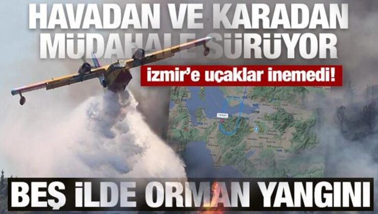 Beş ilde orman yangını: Bergama’dan acı haber, İzmir’e uçak seferleri aksadı