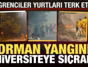 Bursa’da anız yangını: Üniversiteye sıçradı, öğrenciler valizleriyle bölgeyi terk etti!