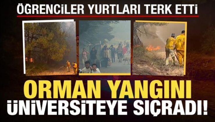 Bursa’da anız yangını: Üniversiteye sıçradı, öğrenciler valizleriyle bölgeyi terk etti!