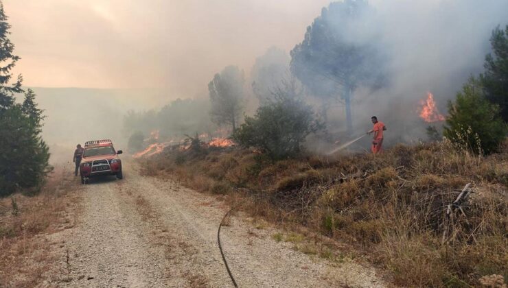 Çanakkale’de ormanlık alanda yangın!