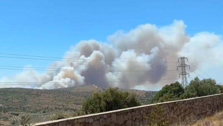 Çeşme’de orman yangını