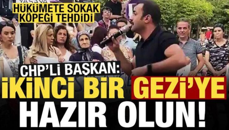 CHP’li başkandan hükümete sokak köpeği tehdidi: İkinci bir Gezi’ye hazır olun…