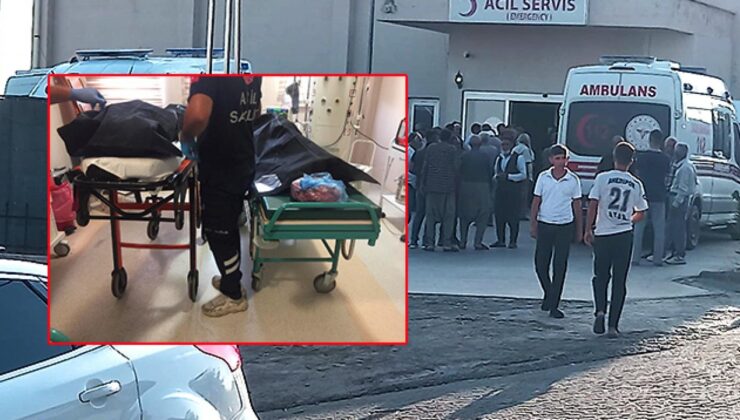 Diyarbakır’dan yürek yakan haber: 2 çocuk canından oldu