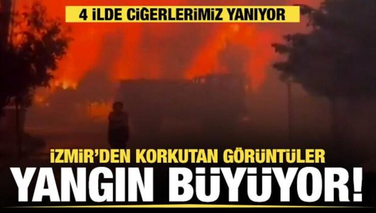 İzmir, Manisa, Balıkesir ve Kütahya’da orman yangını