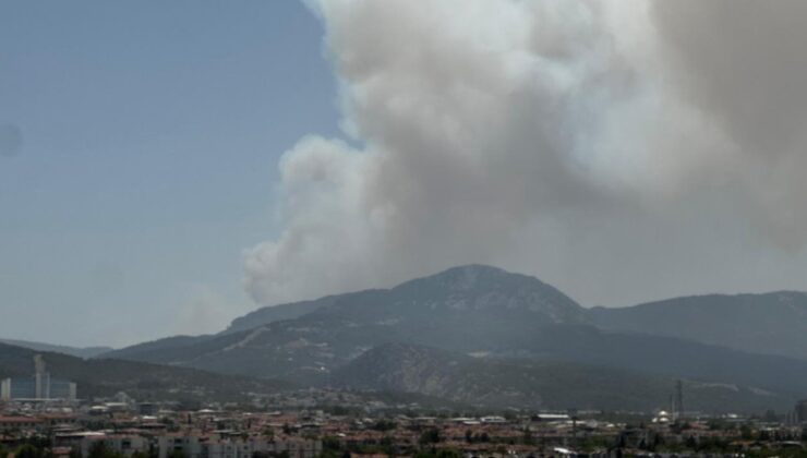 İzmir’de orman yangını! Havadan ve karadan müdahale ediliyor