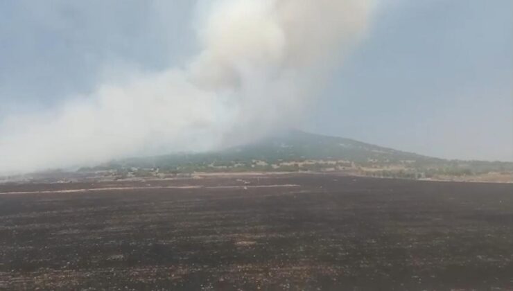 Kahramanmaraş’ta orman yangını