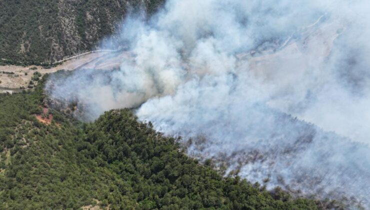 Karabük’te ormana yıldırım düştü, yangın çıktı