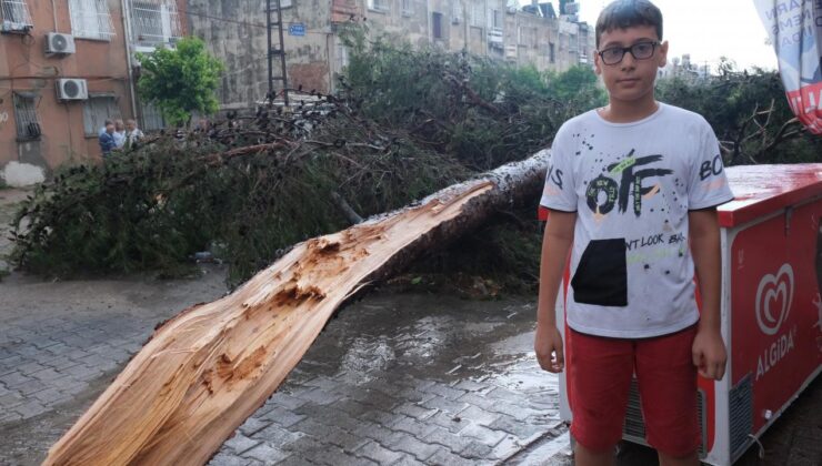 Küçük çocuk ağaç altında kalmaktan son anda kurtuldu