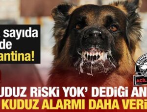 ‘Kuduz riski yok’ dediği anda bir kuduz alarmı daha verildi! Birçok köy karantinaya alındı