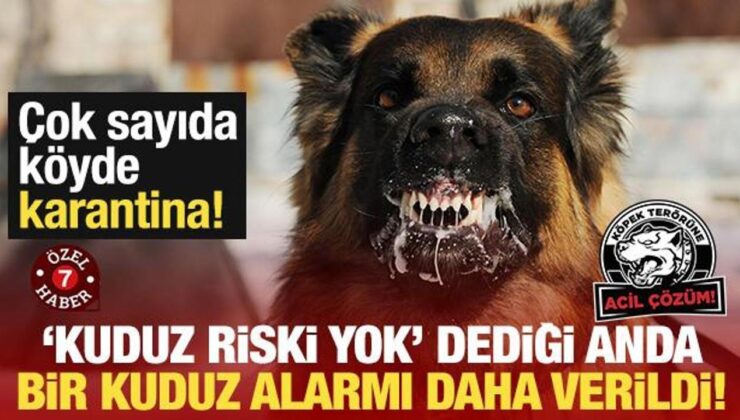 ‘Kuduz riski yok’ dediği anda bir kuduz alarmı daha verildi! Birçok köy karantinaya alındı