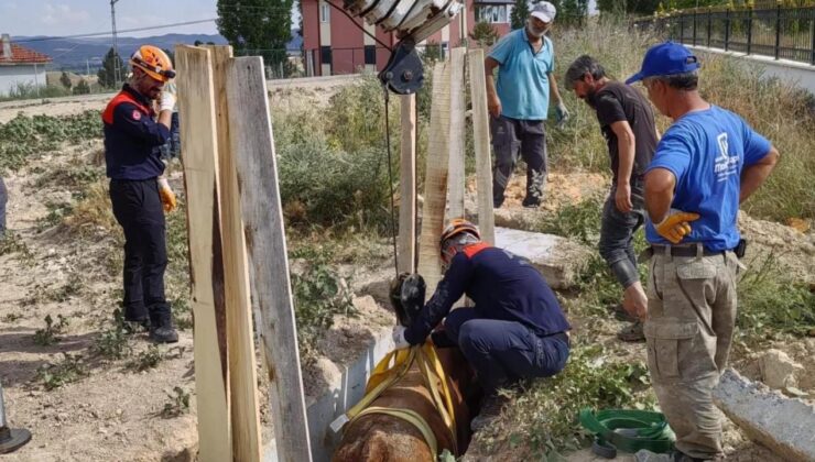 Menfeze düşen inek AFAD tarafından kurtarıldı