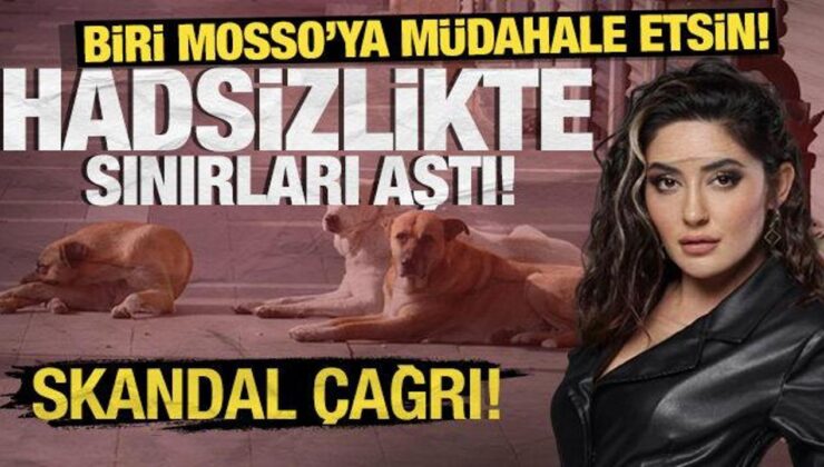 Mosso’dan sokak köpekleri üzerinden skandal çağrı! Hadsizlikte sınırları aştı