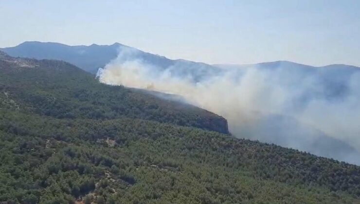 Muğla’da orman yangını