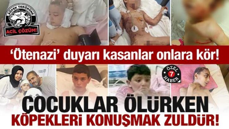 ‘Ötenazi’ duyarı kasanlar onlara kör! Çocuklar ölürken köpekleri konuşmak zuldür!