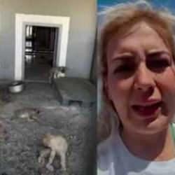 Köpekçi Buket ile ilgili olay iddialar! Kasiyerlikten patronluğa...