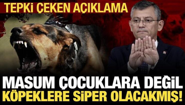 Özgür Özel’den ‘başıboş köpek’ çıkışı: Gerekirse siper oluruz