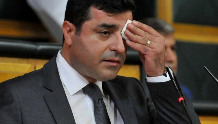 Selahattin Demirtaş’a yargılandığı davada 2,5 yıl hapis